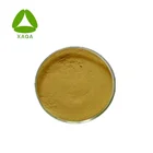 Top Quality Organic Noni Fruit Juice Extract Powder Price with vietnam