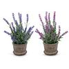 Set Of 2 Artificial Mini Potted Plants Home Decoration (Lavender)