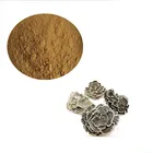 100% Natural Turkey Tai Mushroom /Trametes versicolor