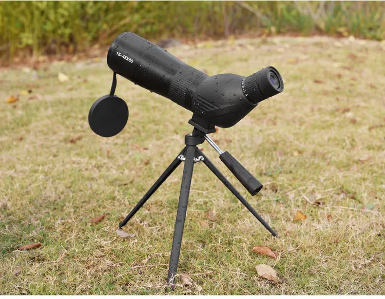 6616695022_2108484305