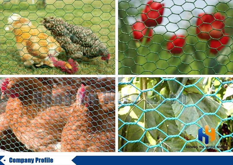 hot selling mesh 50mm hexaganol chicken wire price per meter