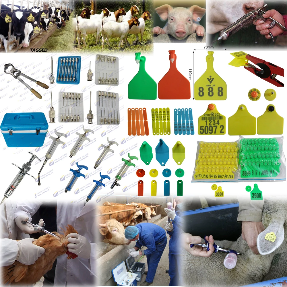 Main ear tags, syringes and needles