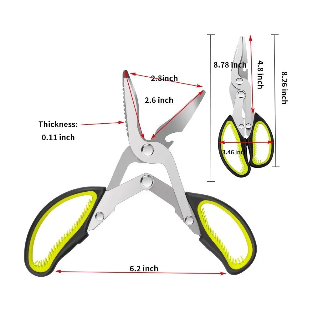 61NwZCDb6iL._SL1000_