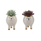 Succulent Plant Flower Pot Ceramic Cat Legs Shape Desktop Succulent Plant Flower Pot