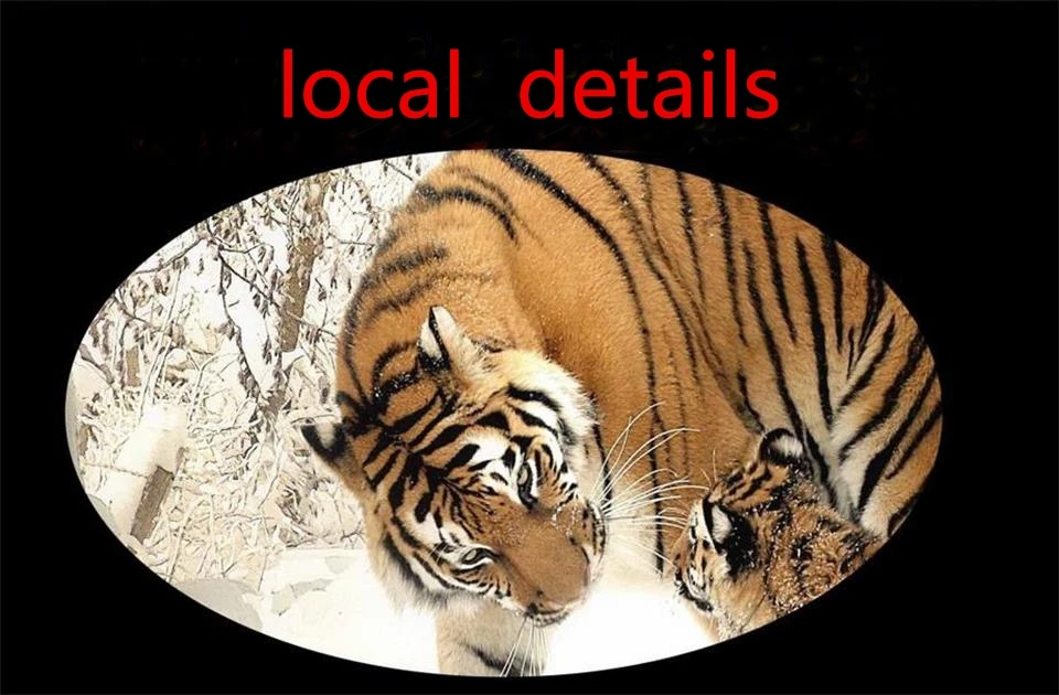 36020161013001400835