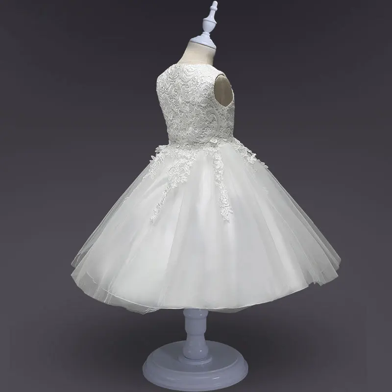 6630825608_407484580