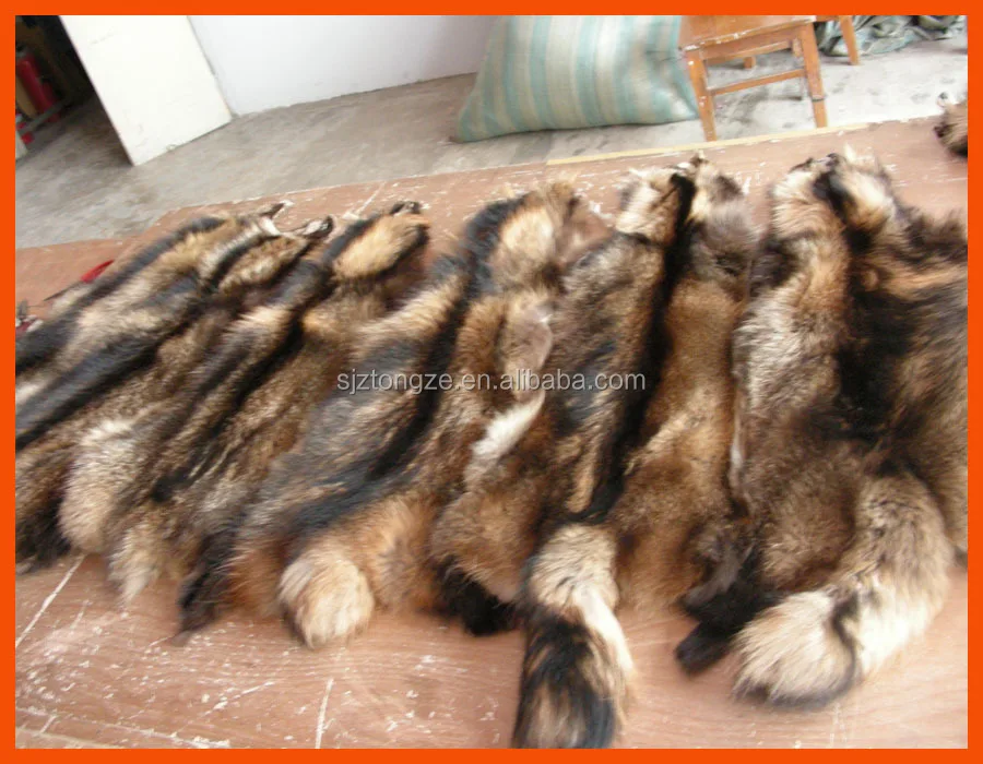TOP quality plush raccoon fur skin