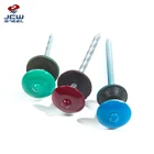 Colored head screw plain smooth twisted shank roofing nail with good price