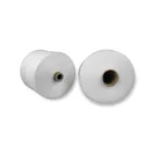YUANAO Polyester Yarn Raw White 402 20