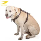 Simple and unique genuine leather dog harness high grade