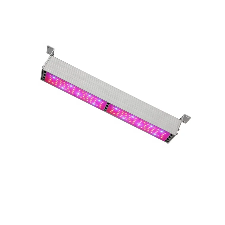 linear grow light.jpg