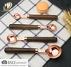 Kitchen Tools Stainless Steel Copper Measuring Spoon/Measuring Tool With Walnut
