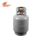 China Supplier Top Quality LPG Gas Cylinder For Costa Rica