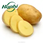 Wholesale Cheap Food grade potato flavor for chips