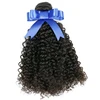 wholesale virgin hair vendors 10 inch kinky curly hair best selling products 2018 in usa