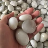 High polished white garden pebble river stone landscaping wholesale