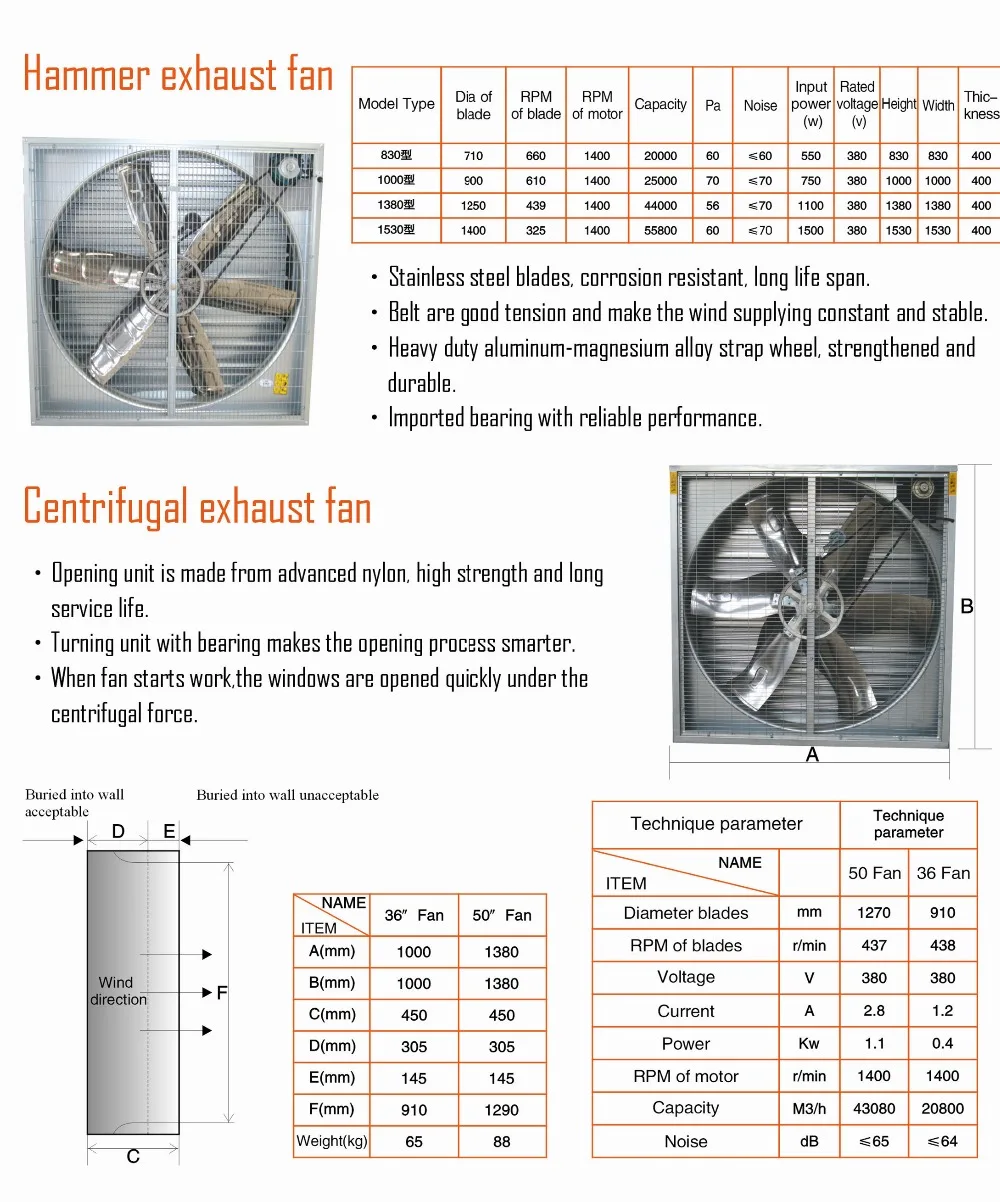 fan1