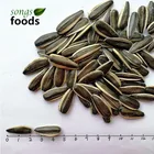 Chinese Wholesale Low Price Sunflower Seeds