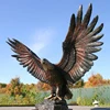 /product-detail/large-outdoor-metal-bird-statue-garden-bronze-cast-eagle-sculpture-for-decor-60607761684.html