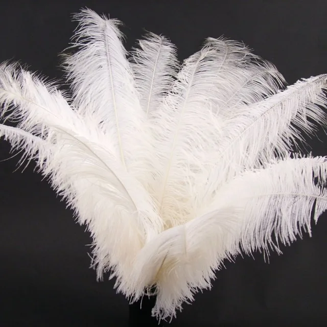 feathers for carnival costumes