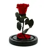Rose in Glass Dome with Metal Engraved Plaque inspired by Beauty and the Beast Rose, Real Preserved Red Rose in Large Glass Dome