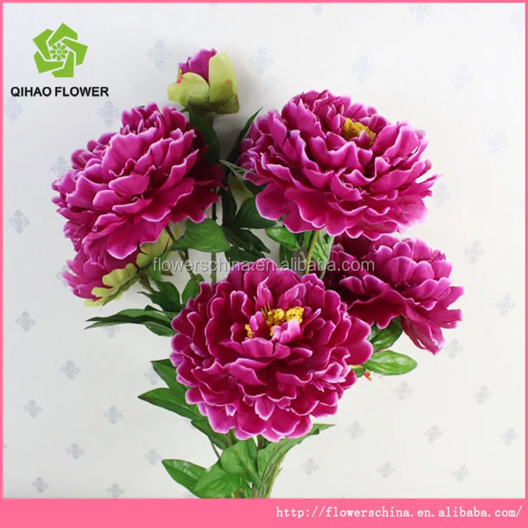 china flowers of africa