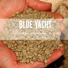 Bulk Raw Coffee Beans Arabica Coffee Bean with High Screen
