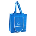 candy reusable blue foldable custom nonwoven shoes and bags match women