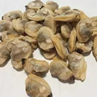 fresh hiqh quality frozen boiled short necked clam meat new season