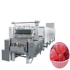 Professional Manufacturer Multi Use Full-Automatic Jelly Candy Machine
