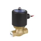 Pilot Operated Steam Brass Half Inch Size US-15 Solenoid Valve