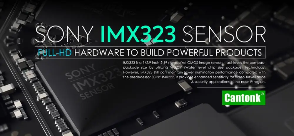 2 SENSOR.jpg