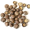 /product-detail/wholesale-chinese-shiitake-dried-magical-shiitake-mushroom-prices-62191330243.html