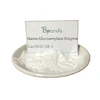/product-detail/free-sample-high-quality-glucoamylase-enzyme-60809878931.html