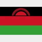 Professional Manufacturer Custom Malawi Country National Flag