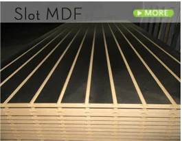 MDF_09.png