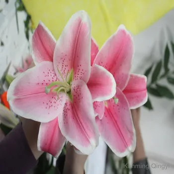 wholesale fresh cut flowers light pink lily flower from kunming