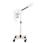 Todom DT-318 wholesale beauty salon equipment ion hot vapour skin nourishing machine facial steamer price