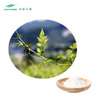 Natural Supply Vine Tea Extract Dihydromyricetin 98% HPLC, Myricetin 98% with Large Stock
