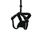 Professional top level wholesale designer adjustable dog harness