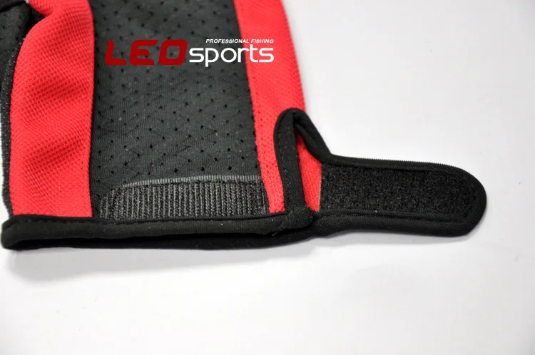 495399946_2050739421