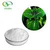 Factory Wholesale 100% Natural Yohimbe Bark P.E. / Organic Yohimbe Extract Yohimbine HCL 8% 20% 98%