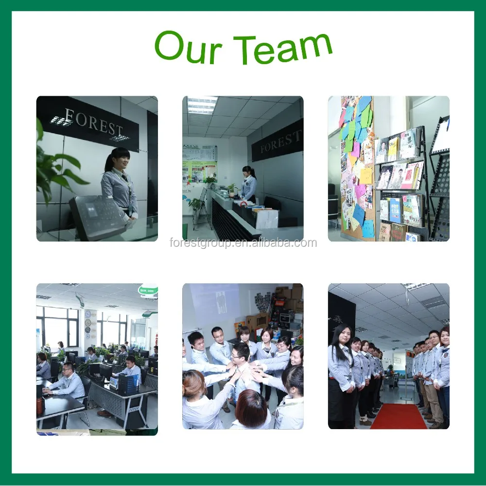 our team.jpg