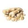/product-detail/price-of-china-fresh-ginger-60713521212.html