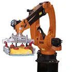 Customized size Industry Equipment automatic abb robotic arm for stacking