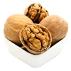 Original XinJiang Walnuts Raw Walnuts in Paper Shell