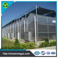 Efficient Polycarbonate Greenhouse For Hydroponic NFT