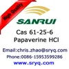 /product-detail/api-papaverine-hcl-high-purity-cas-61-25-6-papaverine-hydrochloride-60822082578.html