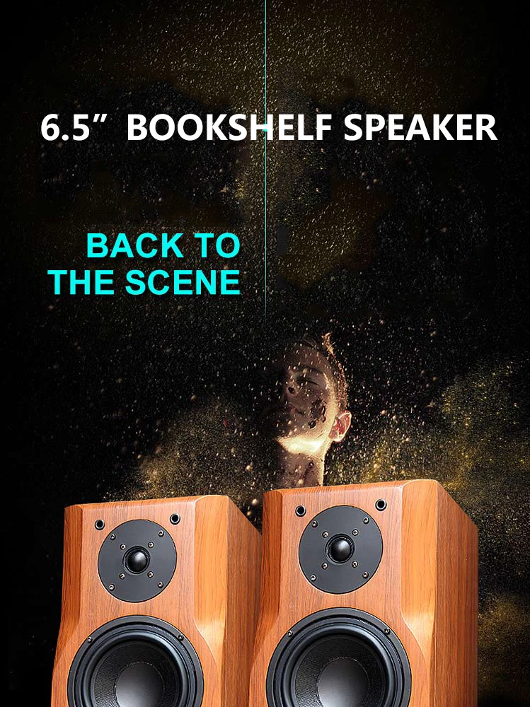 Delixin F30 6.5 inch wooden box super bass Hifi speaker cheap bookshelf speaker from China factory - ANKUX.COM