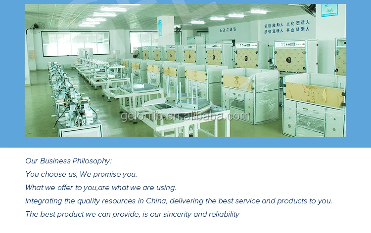 GELON BATTERY 04.jpg